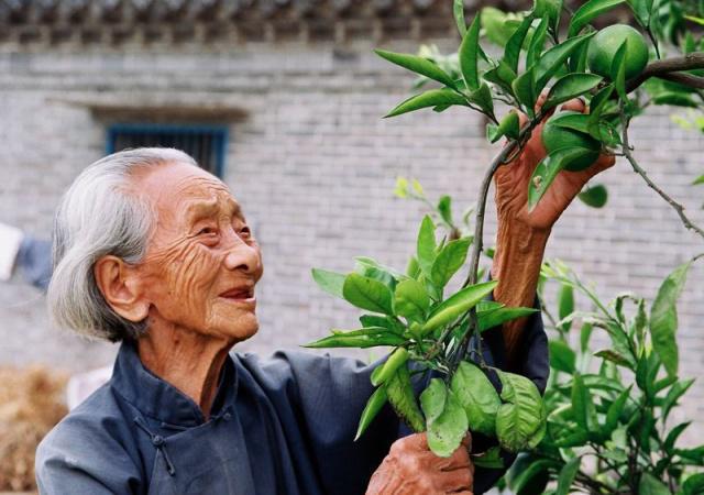 長壽的人有哪些特點(diǎn)？年紀(jì)大了如何養(yǎng)生？