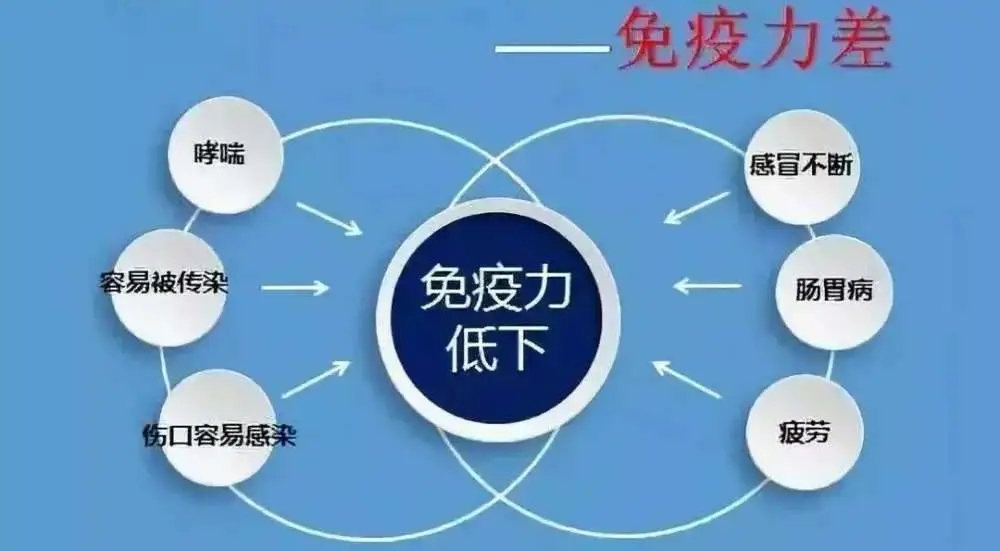 免疫力是怎樣檢測(cè)的？如何提升免疫力？